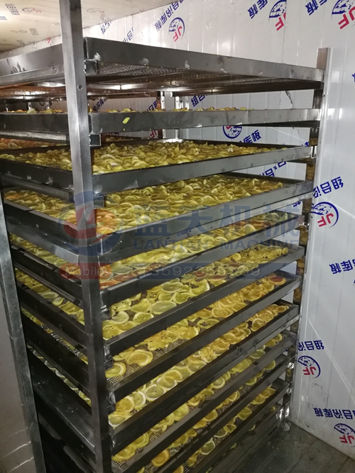 云南柠檬片烘干机客户生产现场