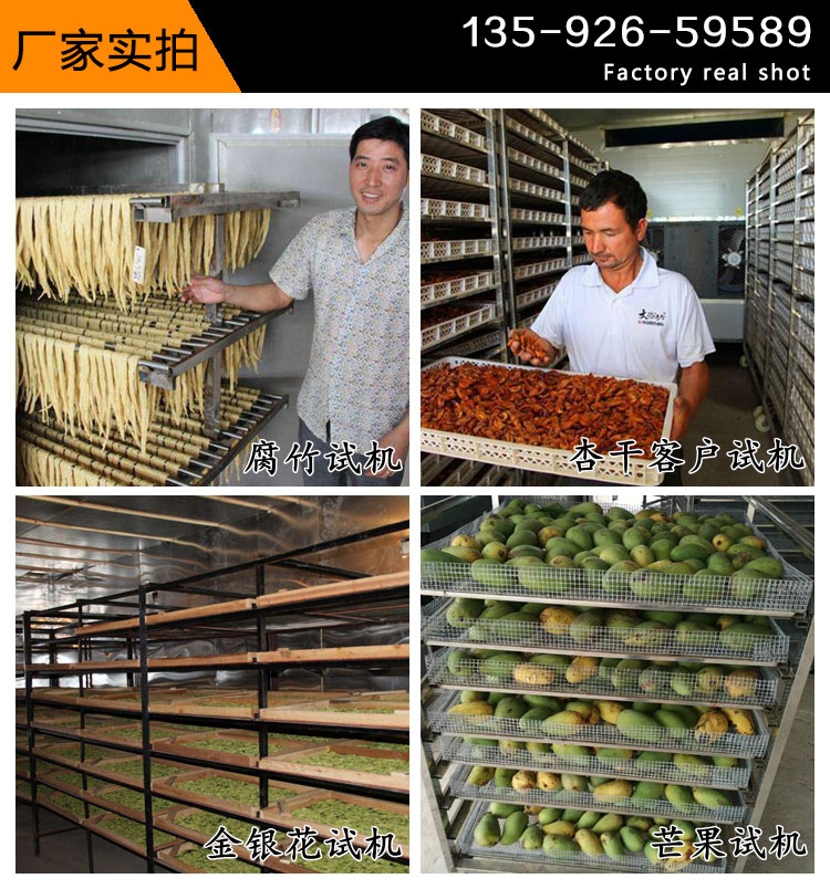 柿饼烘干机试机